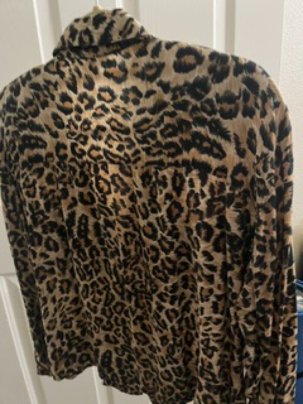 Leopard! - Picture 3 of 5